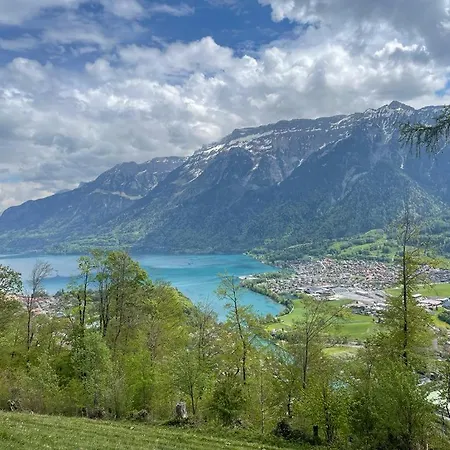 Historical Village Retreat, Interlaken, Sleeps 2 شقة ويلدرسويل