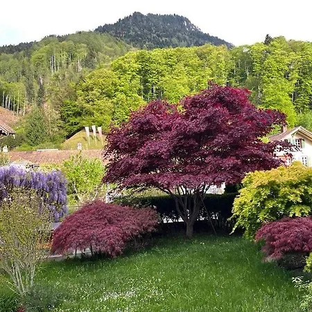 公寓 Historical Village Retreat, Interlaken, Sleeps 2 维尔德斯韦尔